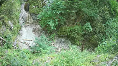 webkamera Slovenský raj - Suchá Belá