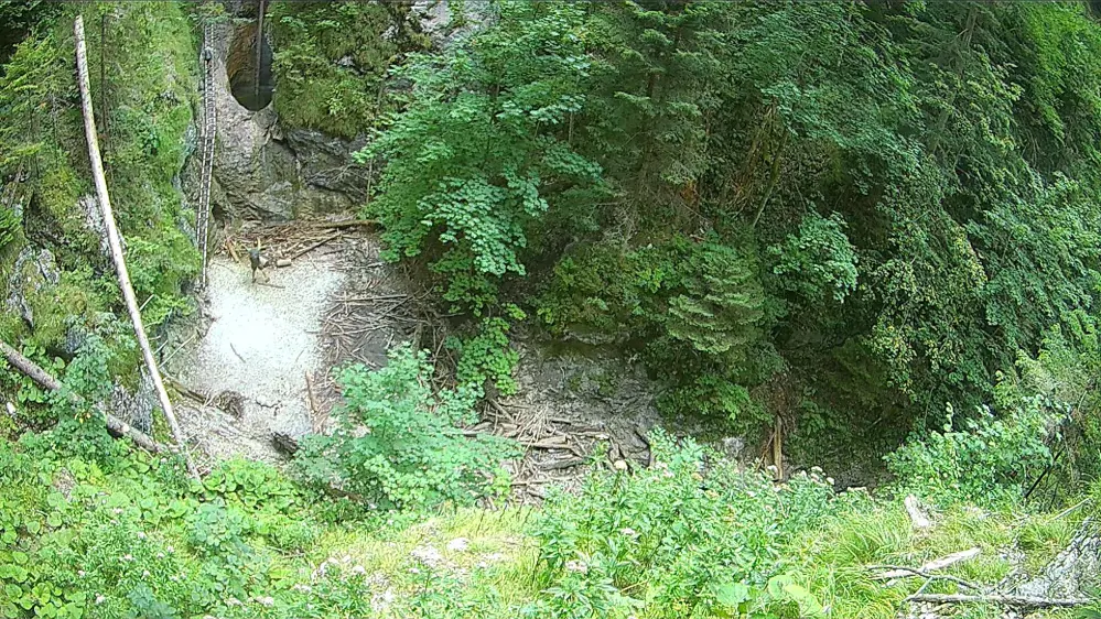 webkamera Slovenský raj - Suchá Belá