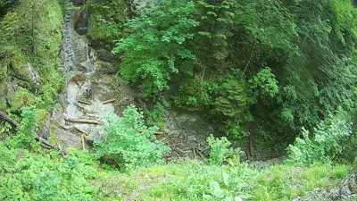webkamera Slovenský raj - Suchá Belá