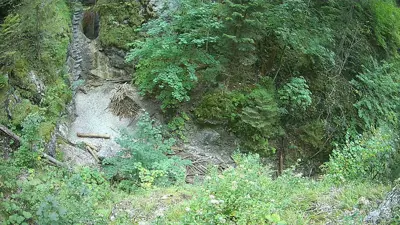 webkamera Slovenský raj - Suchá Belá