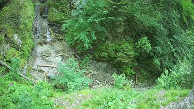 webkamera Slovenský raj - Suchá Belá