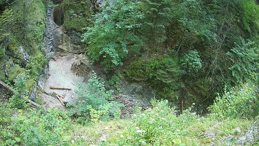 webkamera Slovenský raj - Suchá Belá