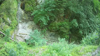 webkamera Slovenský raj - Suchá Belá