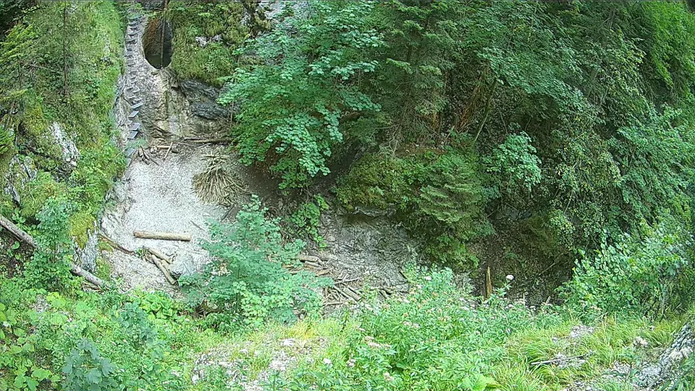 webkamera Slovenský raj - Suchá Belá