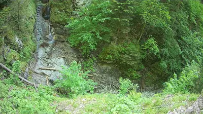 webkamera Suchá Belá | Slovenský raj
