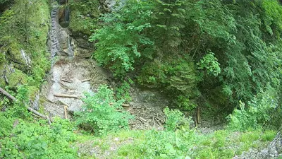 webkamera Slovenský raj - Suchá Belá