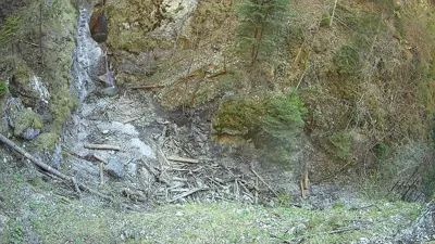 webkamera Slovenský raj - Suchá Belá
