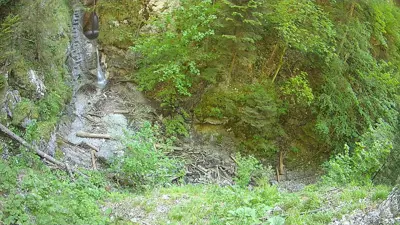 webkamera Slovenský raj - Suchá Belá