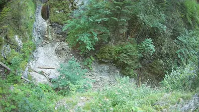 webkamera Slovenský raj - Suchá Belá